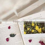 Fujifilm Instax Wide Film Instant Film Twin Pack thumbnail-6