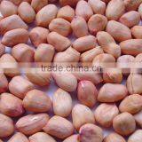 Blanched Groundnut Kernel thumbnail-1