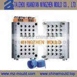 2015 New Coming Mold for Caps thumbnail-5