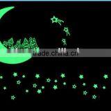 Star Moon Shape Glow in Dark Sticker thumbnail-1