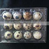 OUCHEN High Quality Plastic Egg Holder Quail Egg Tray Egg Cartons 12 18 20 24 30 Holes for Sale thumbnail-5