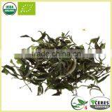 Lightly Oxidized White Hair Silver Needle White Tea Best White Tea Brands thumbnail-1