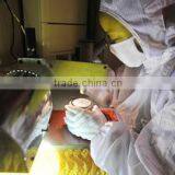 Xiangyang Guihai Electronics Co., Ltd. company overview - view 3 thumbnail