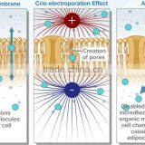 Radiofrequency Monopolar Meso Anti-aging Wrinkle rf and Skin Rejuvenation - New Cellactor thumbnail-5