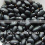 Black kidney beans/Black Turtle Beans