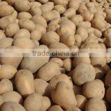 2017 Hot Sale Fresh Yellow Potato