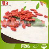 HOT SALE Organic Certification Bulk Goji Berries/wolfberry From China/wholesale Red Goji thumbnail-2
