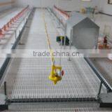 Automatic Feeding Product for Poultry Manufacture in Qingzhou
