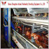 Professional Automatic Chicken Cage for Poultry Chicken Farm thumbnail-5