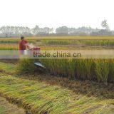 Mini Rice and Wheat Harvester for Sale in Pakistan thumbnail-2
