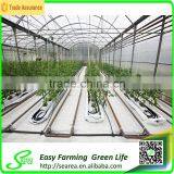 Polycarnonate Sheeting Greenhouse for Sale thumbnail-3
