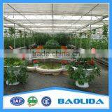 Greenhouse for Sale thumbnail-2