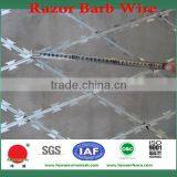 China Manufacturer Razor Barbed Wire Mesh(17 Year Factory) thumbnail-2