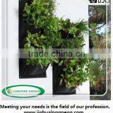 Salad and Herb Vertical Wall Planter,Decoration Hanging Garden Planter thumbnail-1