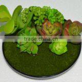 SJ3001011 Indoor Mini Bonsai Cactus Plant Artificial thumbnail-1