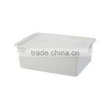 Antique Vintgage Plastic Decorative Storage Box thumbnail-5