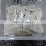 Pacific Squid Tube Frozen thumbnail-2