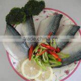 Frozen Mackerel Fillet