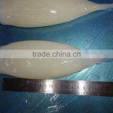 Shishi Zhengyuan Aquatic Frozen Illex Squid Tube thumbnail-1