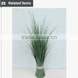 Hotsales Natural Cylinder Onion Grass for Garden Decoraction thumbnail-6
