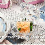 Utility Long Lasting Preserved Flower For Wedding And Valentine's Day Gift thumbnail-3