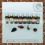Custom 10ml Fragrance Air Freshener Oil thumbnail-1