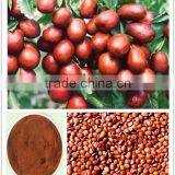 Jujuba P.E. thumbnail-1