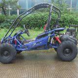 Hammerhead Mini 50 Kids off Road Buggy From China thumbnail-4