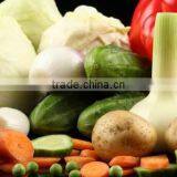 New Crop Carrot Fresh Vegetables Baby Carrots for Wholesales thumbnail-2