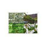 Climbing Plant Support Net&mesh Pea&bean Net&mesh Extruded Agriculture Net&mesh(factory) thumbnail-3