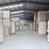 Dongming Sanxin Wood Industry Co.,Ltd company overview - view 2 thumbnail