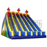 Funny Backyard Inflatable Dry Slide Game for Kids Cheap Double Lane Inflatable Slide thumbnail-1