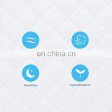 2020 Amazon Hot Sale Home Textile Waterproof Damask Jacquard Cotton Microfiber Quilted Mattress Pad Topper Queen Size Wtih Stret thumbnail-3