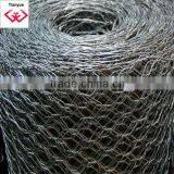 Quality Chicken Mesh Galvanized thumbnail-3