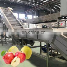 Automatic Fruit Jam Processing Machinery Apple Pear Puree Production Line thumbnail-3