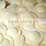 Ravioli Machine, Empanada Maker, Industrial Ravioli Machine thumbnail-5