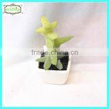 12cm New Design Hot Sale Artificial Type of Cactus thumbnail-1