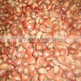 Fresh Chinese Dandong Chestnut thumbnail-2