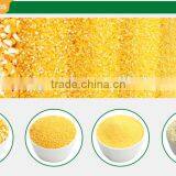 30TPD 6FW-30TS Lucao Corn Grits Maize Milling Machines for Sale thumbnail-4