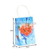 Yiwu Factory Direct Sale Christmas PP Gift Bag Supplier's Choice thumbnail-5
