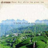 Top Quality Weight Loss Tea China Famous Anjibaicha White Tea Green Tea thumbnail-3