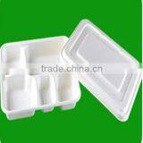 Eco-friendly Sugarcane Bagasse Pulp Tray thumbnail-1