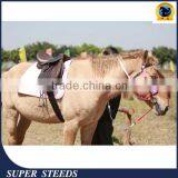Colorful Pvc/tpu Horse Bridle and Rein thumbnail-1