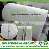 Best Quality Good Strength _Elongation SS Spunbond PP Nonwoven thumbnail-5