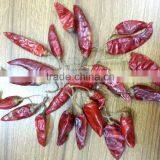 Dry Red Chili thumbnail-2