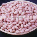 Salted Peanut thumbnail-1