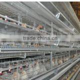 Chicken Battery Cages thumbnail-3