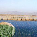 Greenhouse Film for Vegetable in Agricultural Products thumbnail-6