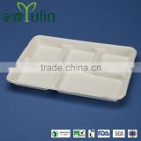 TY-05 10"x8" 5 compartments disposable food tray