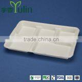 TY-05 10"x8" 5 Compartments Disposable Food Tray thumbnail-1